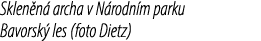Sklen n archa v N rodn m parku Bavorsk  les (foto Dietz)