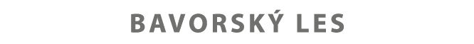bavorsk les