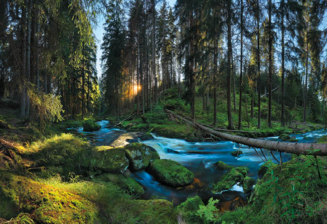 Kniha “VLTAVA - Libor Svacek" - vydani 1., rok 2011 Photographer: Libor Svacek; box@fotosvacek.cz; Mobile: +420 602428001; 