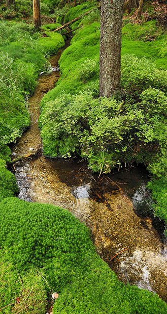 Kniha “VLTAVA - Libor Svacek" - vydani 1., rok 2011 Photographer: Libor Svacek; box@fotosvacek.cz; Mobile: +420 602428001; 