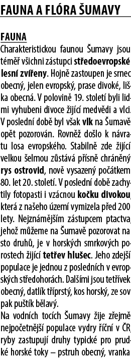 fauna a fl ra umavy Fauna Charakteristickou faunou  umavy jsou t m   v ichni z stupci st edoevropsk  lesn  zv  eny. ...