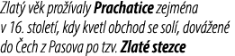 Zlat v k pro  valy Prachatice zejm na v 16. stolet , kdy kvetl obchod se sol , dov  en  do  ech z Pasova po tzv. Zla...