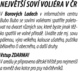Nejv t  sov  voli ra v  R V Borov ch Ladech v informa n m centru Bubo Bubo se sov mi voli rami spat  te poletovat na...