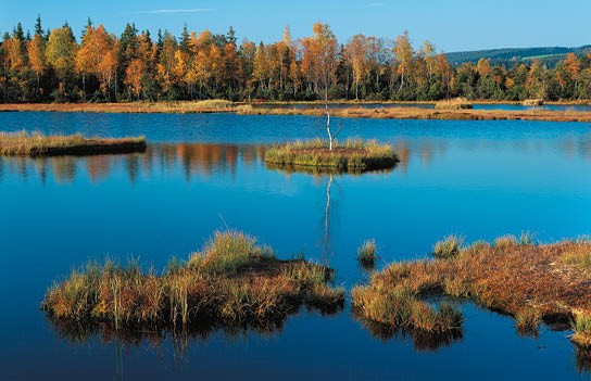 Fotografoval: Libor Svacek, Kaplicka 447, Cesky Krumlov, 381 01 CZ