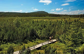 Fotografoval: Libor Svacek, Kaplicka 447, Cesky Krumlov, 381 01 CZ