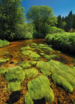 Kniha “VLTAVA - Libor Svacek" - vydani 1., rok 2011 Photographer: Libor Svacek; box@fotosvacek.cz; Mobile: +420 602428001; 