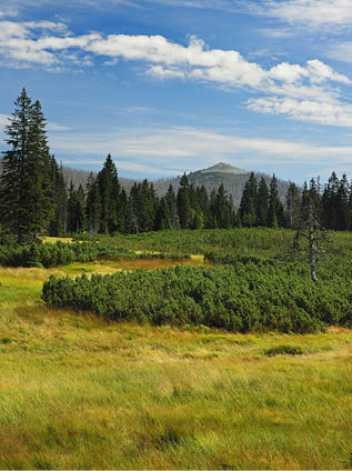 Fotografoval: Libor Svacek, Kaplicka 447, Cesky Krumlov, 381 01 CZ