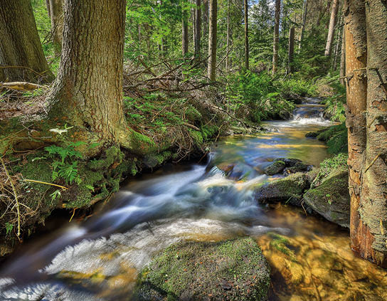 Kniha “ esk republika 2020 - Libor Sv  ek" - vyd n  1., rok 2020