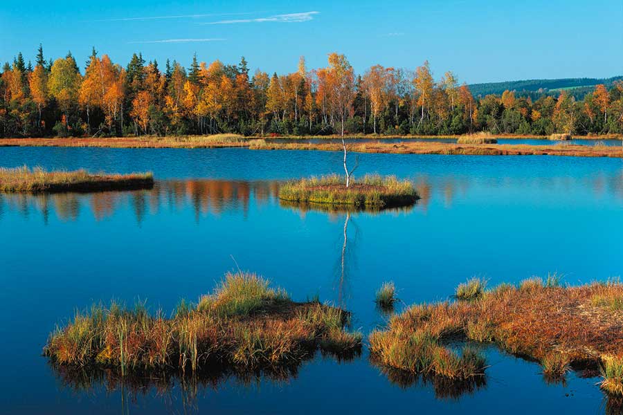 Šumava, foto: Libor Sváček