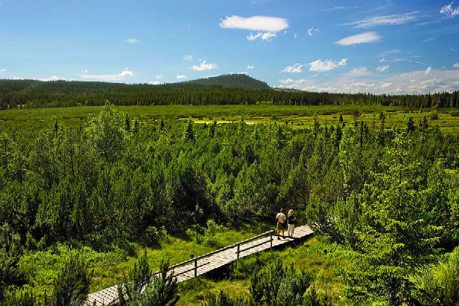 Turisté na Šumavě, foto: Libor Sváček