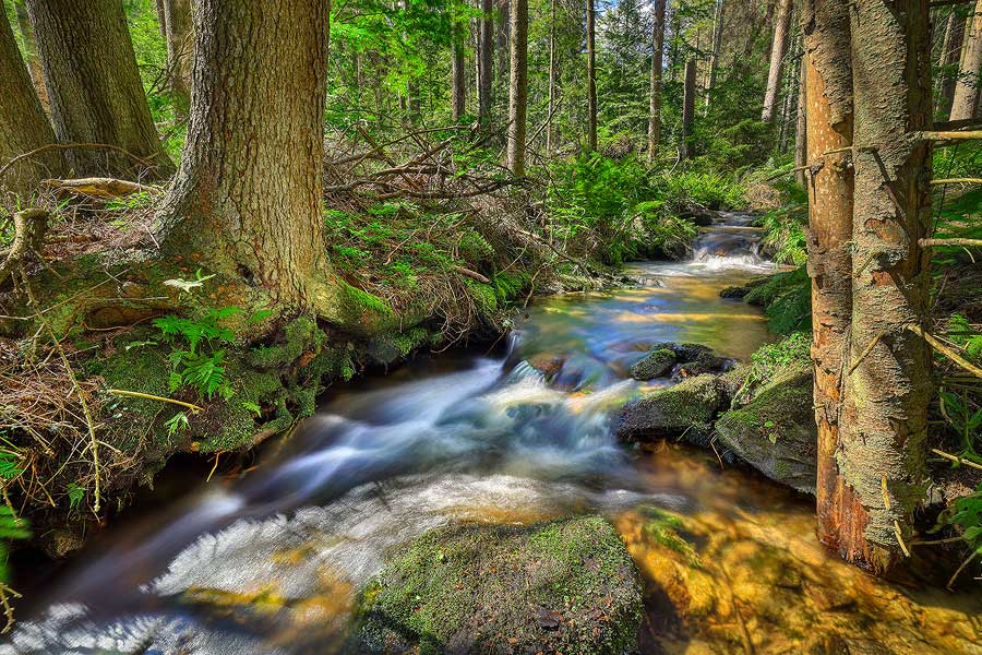 Šumava, foto: Libor Sváček